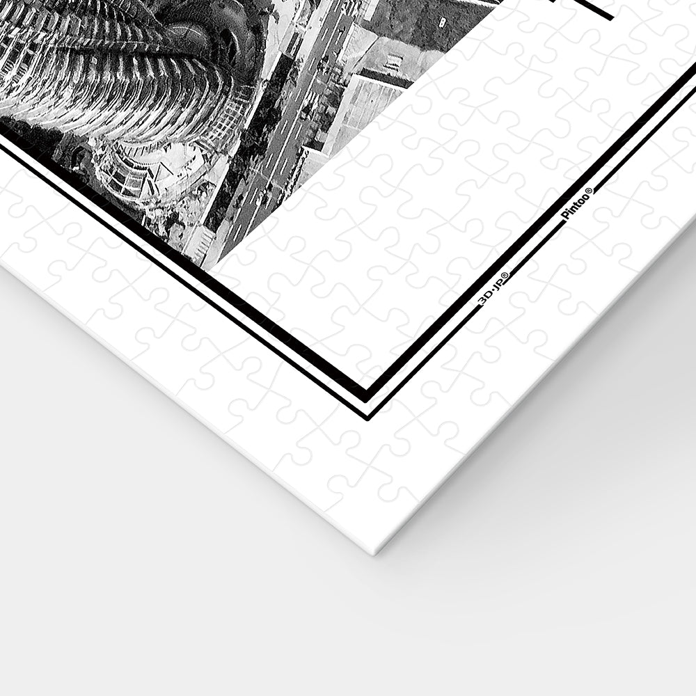 Pintoo Showpiece Puzzle 1000 pcs | Black and White - Taipei (H2612)