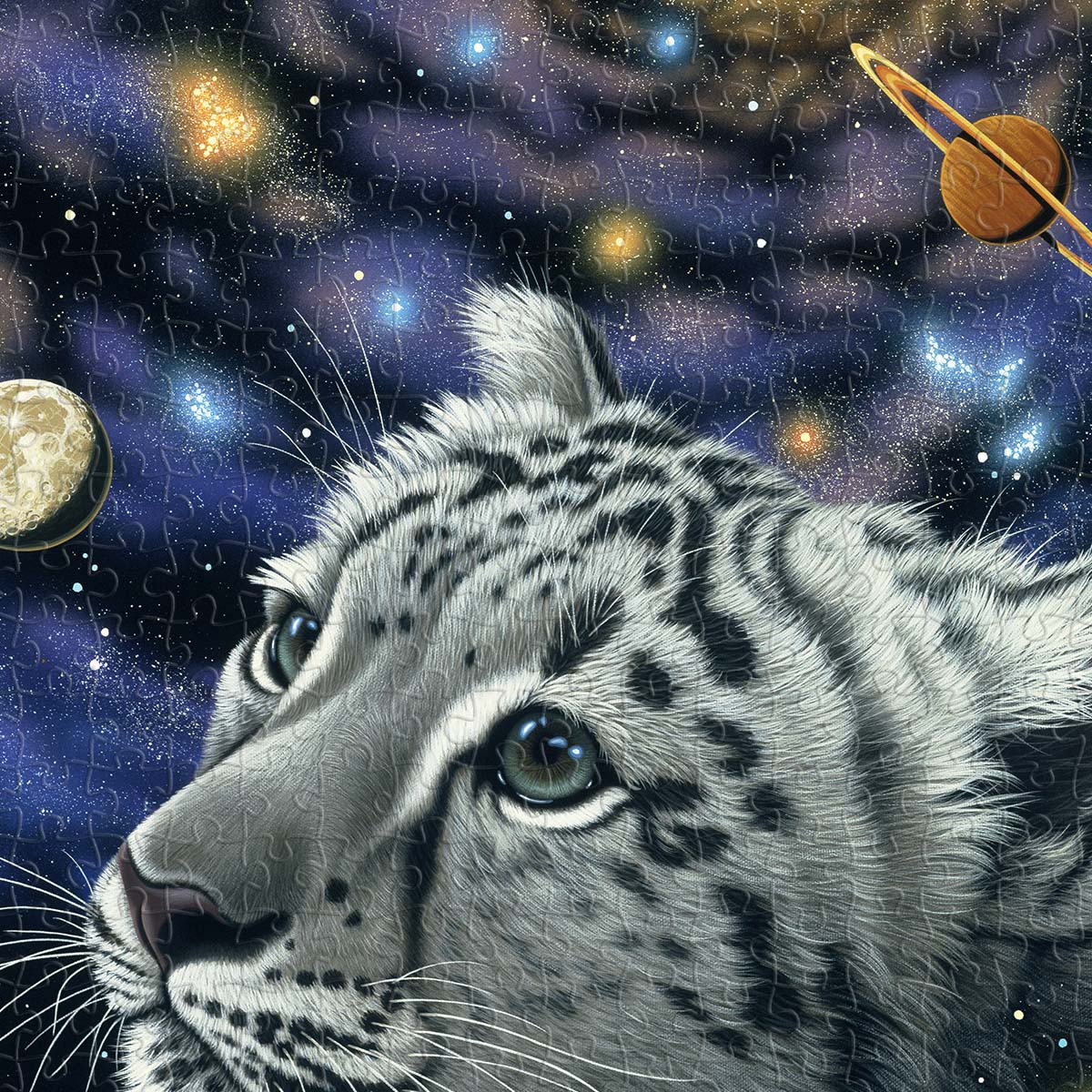 PieceRelax PieceClicks Puzzle 504 pcs | Schim Schimmel - One With the Universe (U1066)