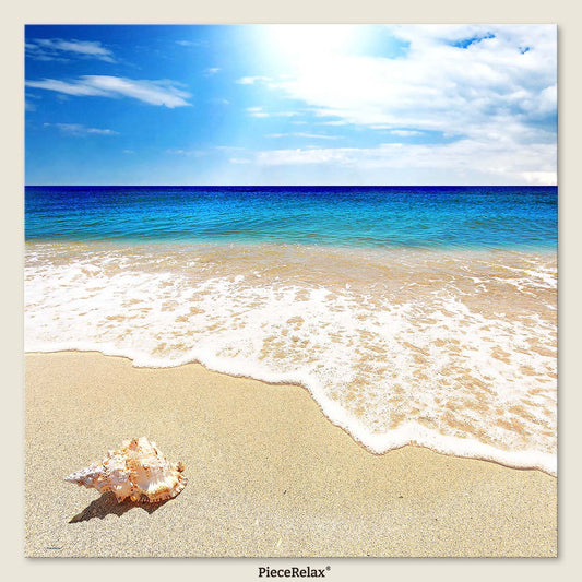 Seashell on the Beach (U1136) | 756 pcs