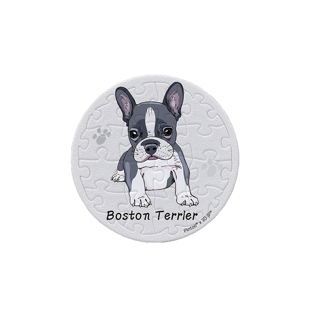 Pintoo Puzzle Magnet - Boston Terrier (16 puzzle pcs) | JK