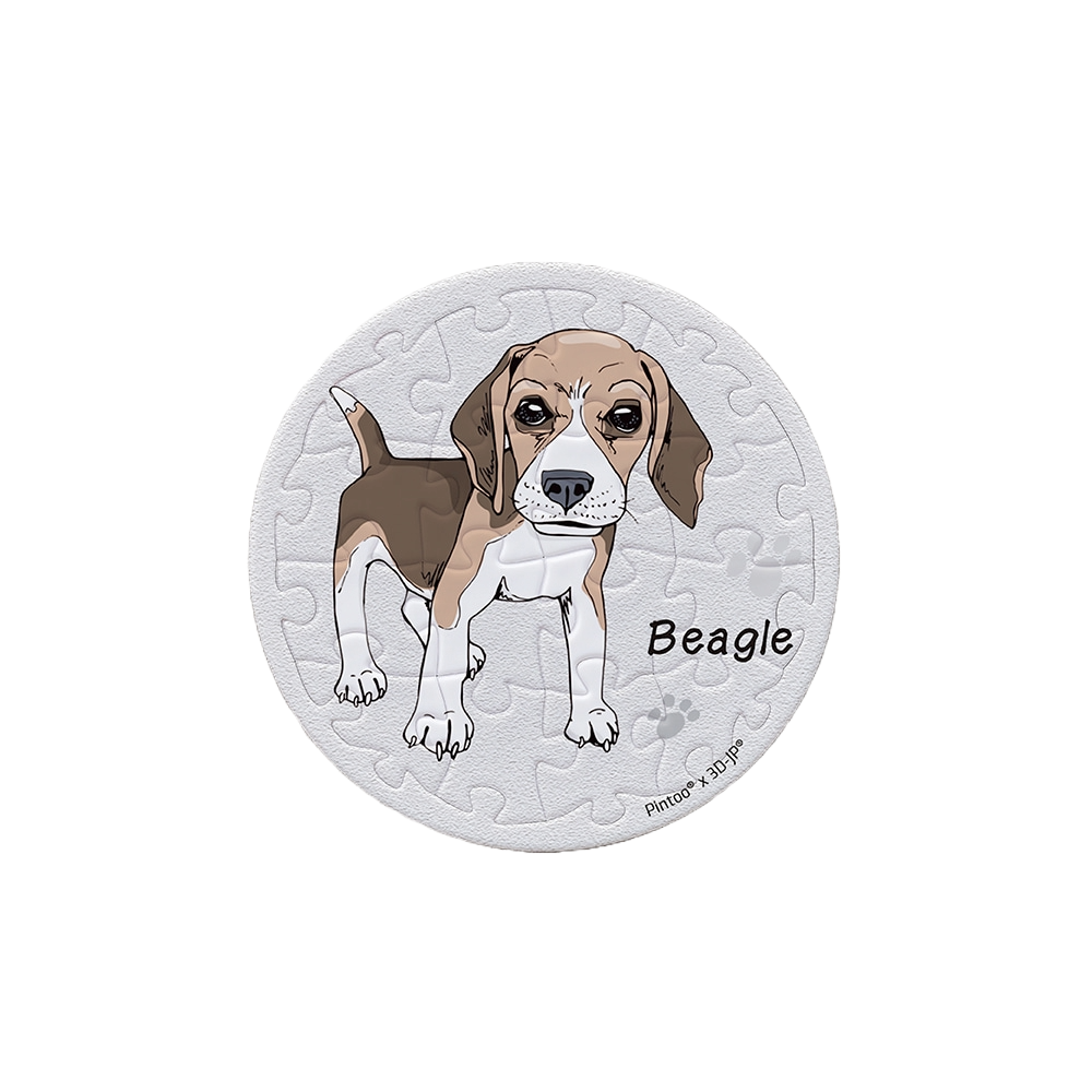 Pintoo Puzzle Magnet - Beagle (16 puzzle pcs) | JK