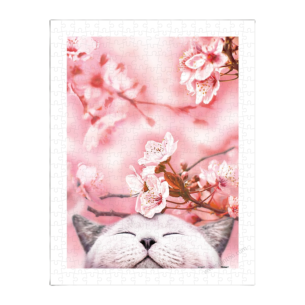 Cherry Blossom - Sakura Cat