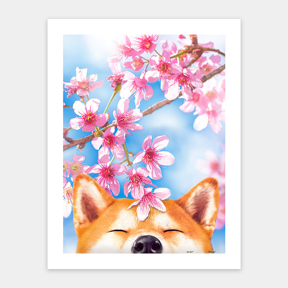 Cherry Blossom - Sakura Shiba (300 pcs)