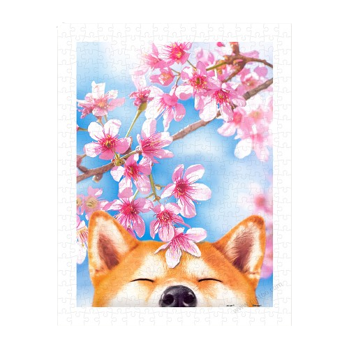 Cherry Blossom - Sakura Shiba