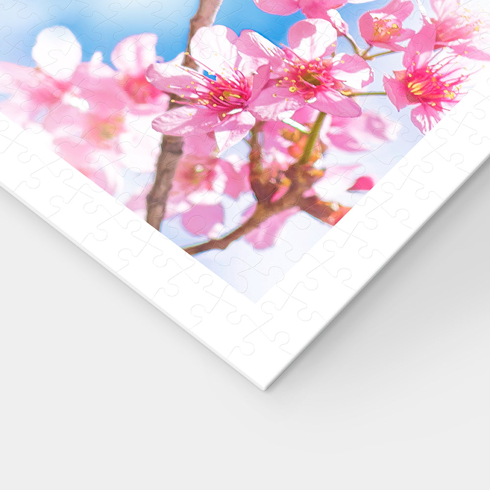 Cherry Blossom - Sakura Shiba (300 pcs)