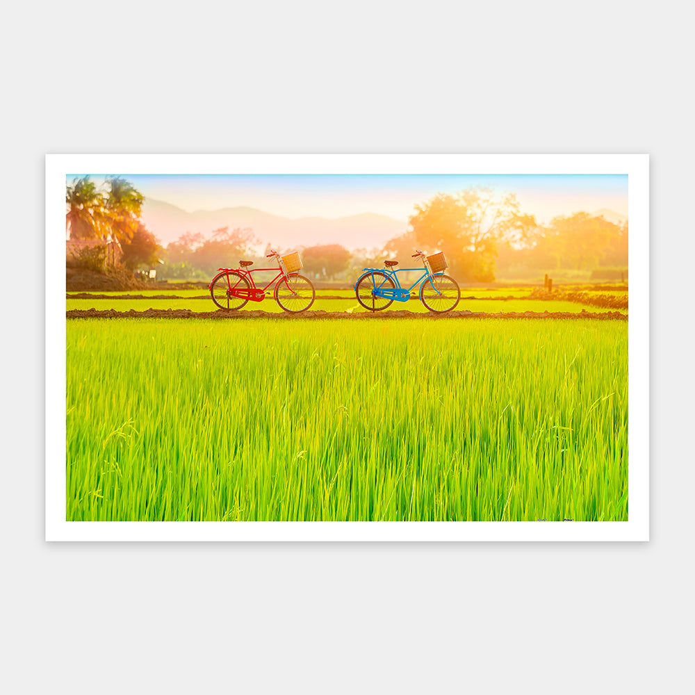 Bicycle Trip Collection - Sun-kissed Green Fields