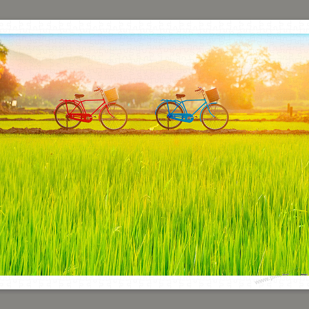 Bicycle Trip Collection - Sun-kissed Green Fields