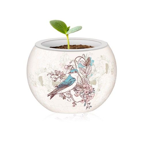 Singing Birds and Flowers