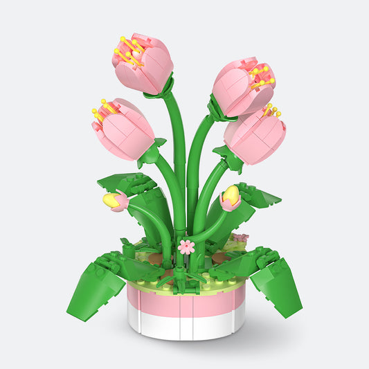 Tulip