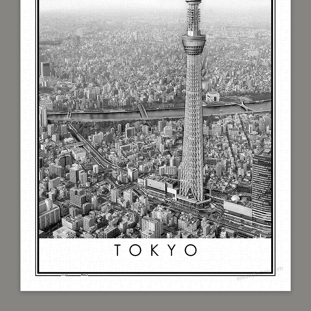 Pintoo Showpiece Puzzle 1000 pcs | Black and White - Tokyo (H2613)