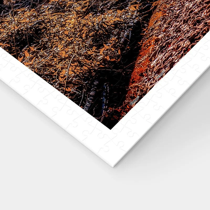 imma pon - Into Autumn Light (H4114) | 1200 pcs