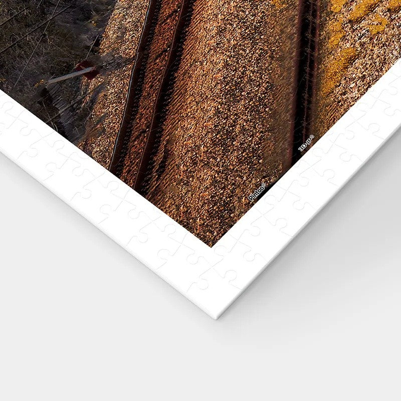 imma pon - Whispers in the Forest