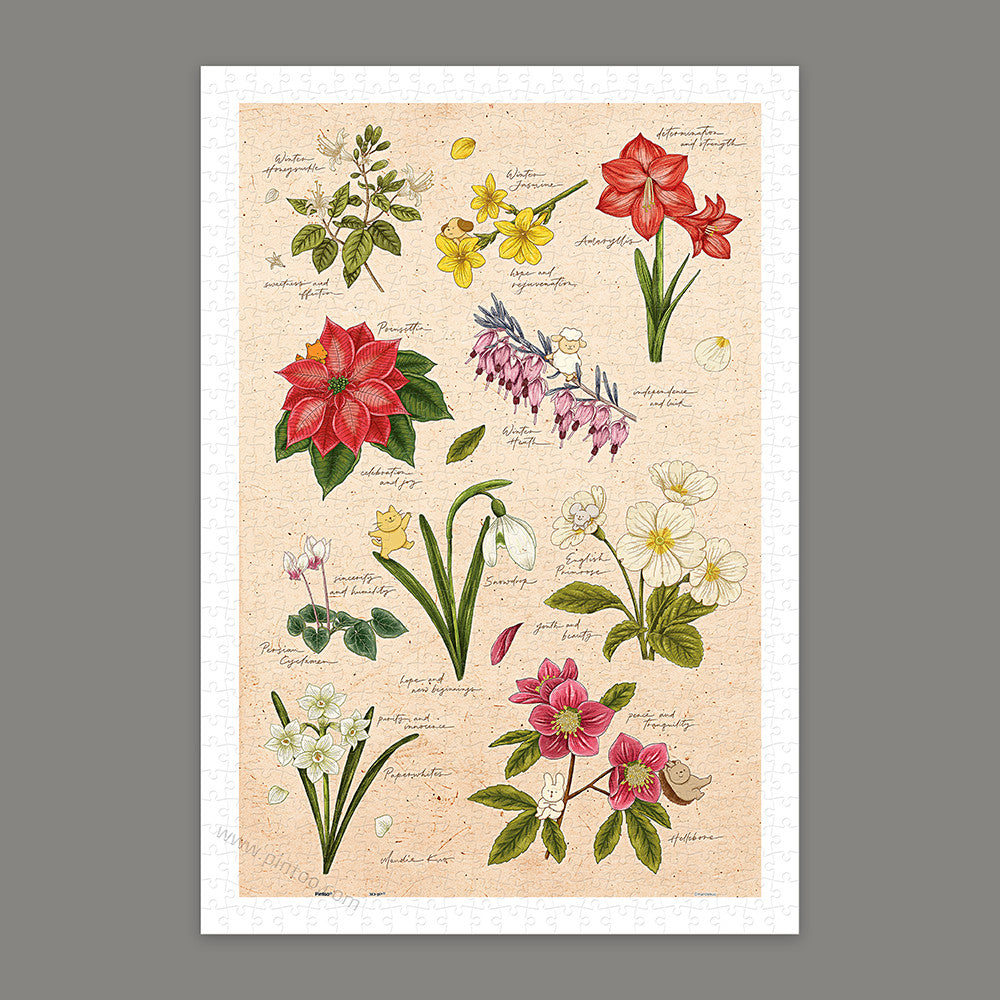 Mandie - Winter Flowers