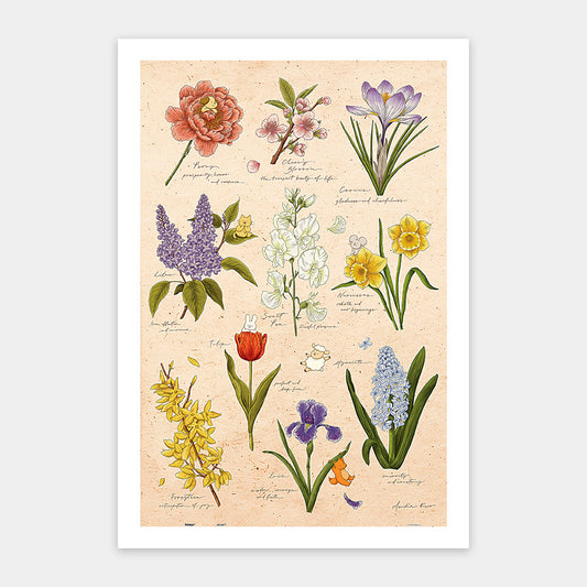 Mandie - Spring Flowers