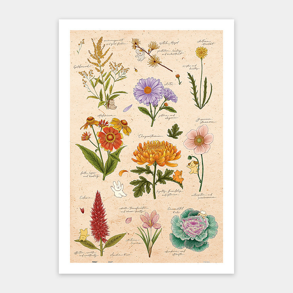 Mandie - Autumn Flowers