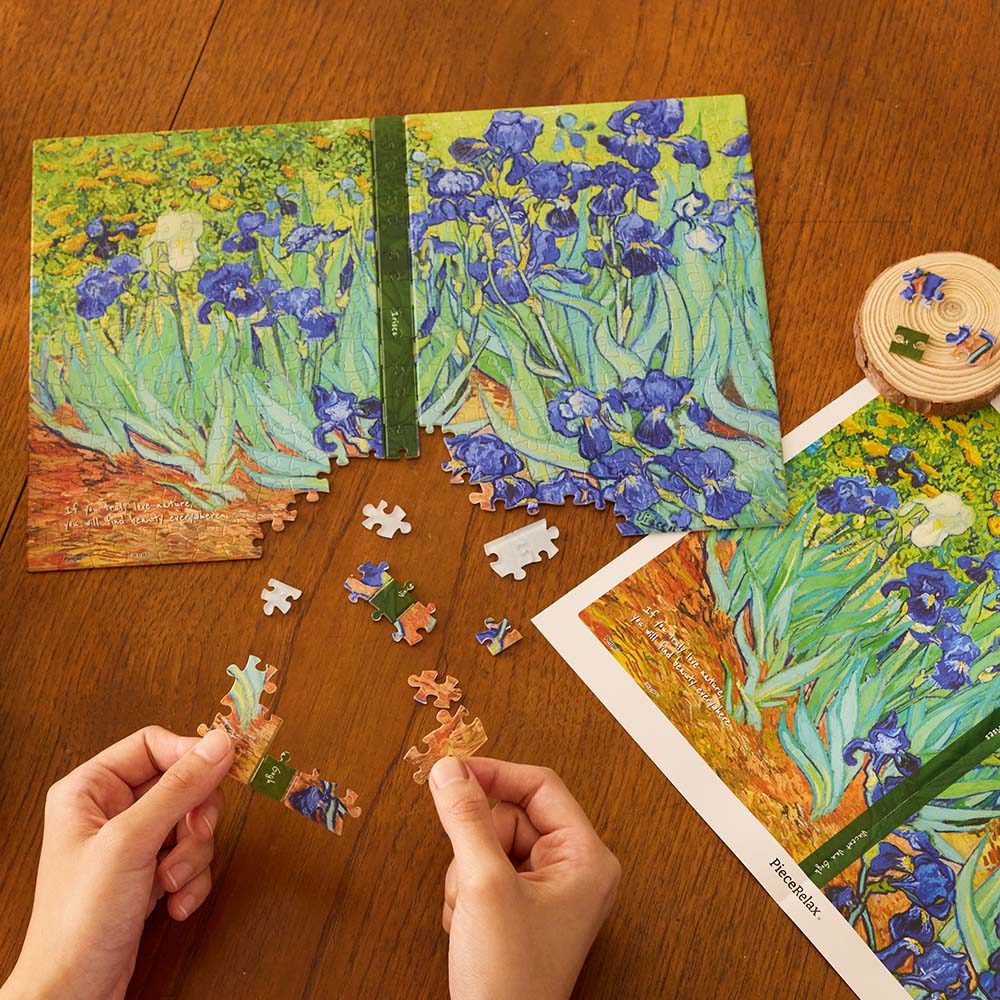 Van Gogh - Irises (329 pcs)