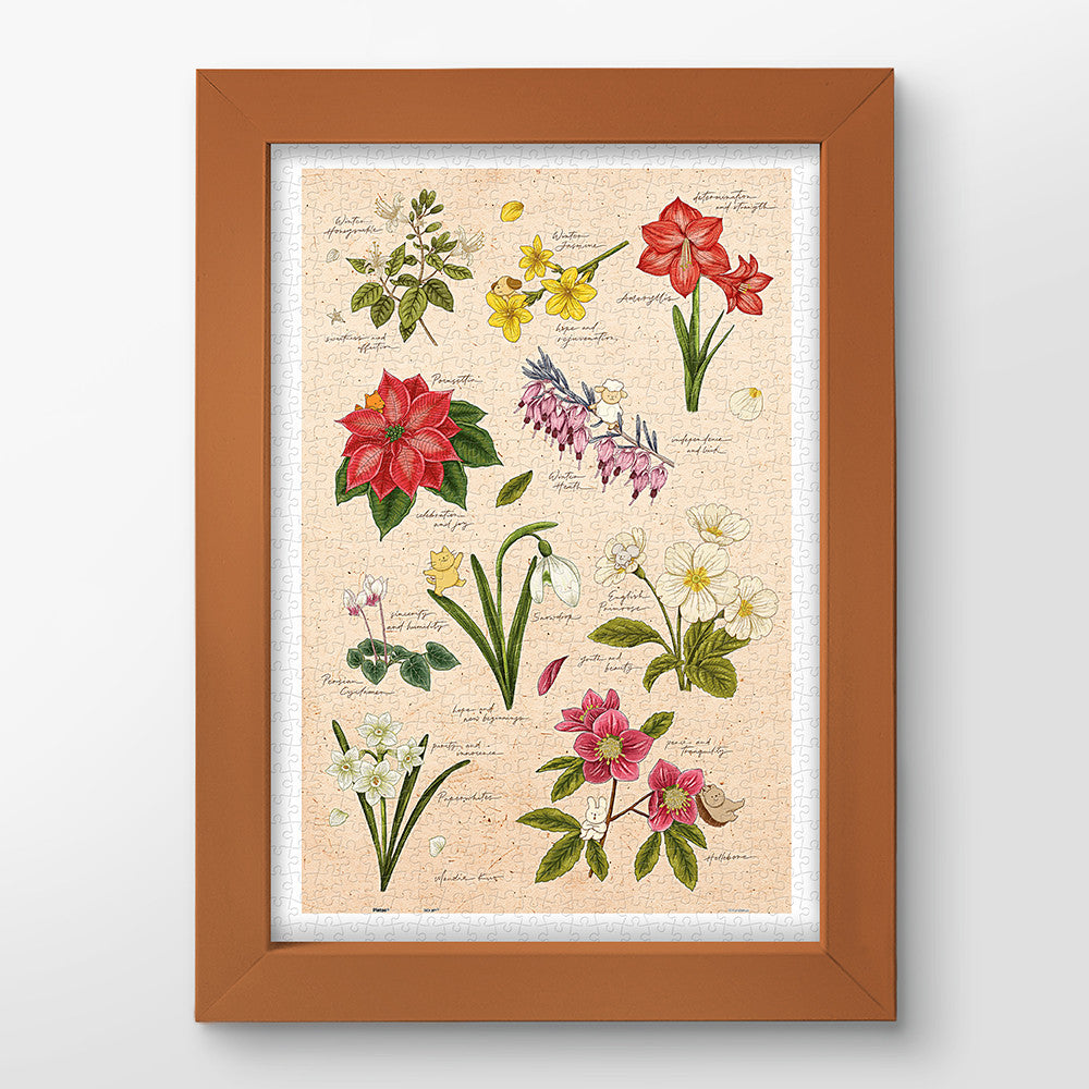 Mandie - Winter Flowers